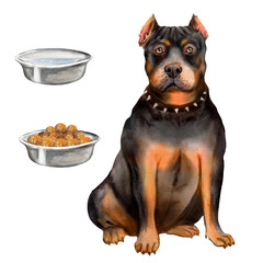 Pitbull dog, pitbull terrier watercolor illustration with dog, pet, animal, bowl of food