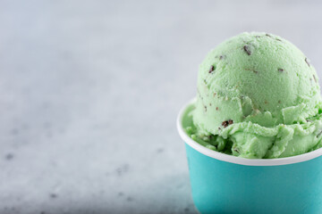 A view of a scoop of vegan mint chocolate chip ice cream, in a cup, on the right side of the frame.