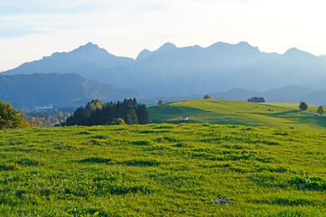 lush sundrenched green alpine meadows of Schwangau region with the Bavarian Alps in the background on a gorgeous sunny day in spring (Allgau, Fuessen, Bavaria, Germany)