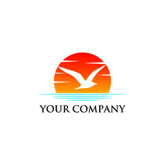 seagulls flying with beach horizon 