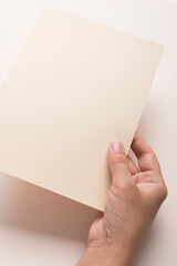 White booklet mockup. Female hands hold an empty blank. Blank form, mockup
