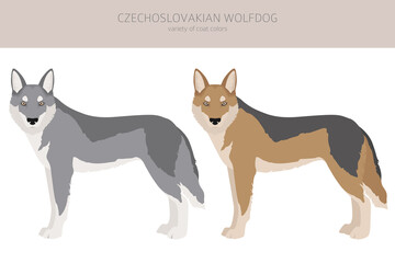 Czechoslovakian wolfdog clipart. Different poses, coat colors set