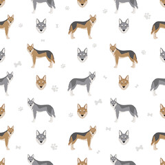 Obraz premium Czechoslovakian wolfdog seamless pattern. Different poses, coat colors set