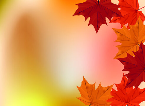 Yellow autumn background with maple leaves. Isolated objects. A vector image.