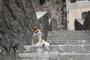サントリーニ島