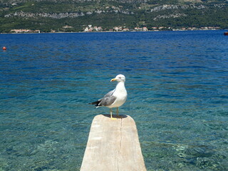 サントリーニ島