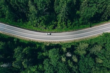 Aerial drone view of green forest with curved road.