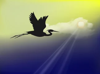 Foto op Plexiglas Silhouette of a flying heron (stork, crane) against the background of the night sky with the moon and moonlight. Shadow vector drawing.  © steadb