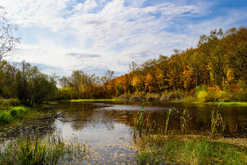 autumn, lawn, clearing, forest, lake, trees, clouds, sky, reeds, reflection in the water