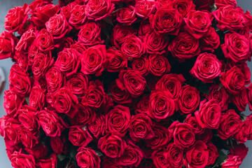 Beautiful fresh flowers close up