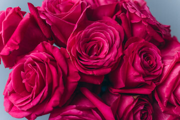 Beautiful fresh flowers close up