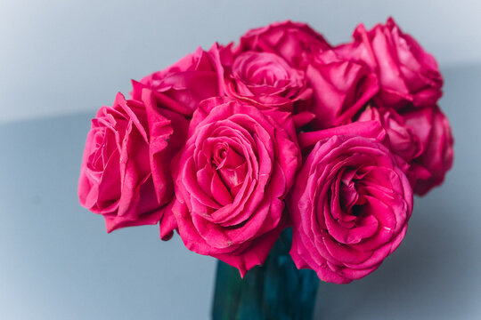 Beautiful fresh flowers close up