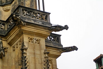 Gargoyles on St. Vitus Cathedral in Prague Castle, Prague, Czech Republic