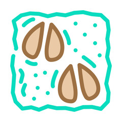 animal footprint color icon vector. animal footprint sign. isolated symbol illustration