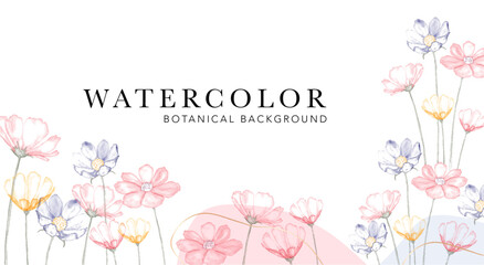 Fototapeta na wymiar Watercolor floral print, floral background. Botanical pattern