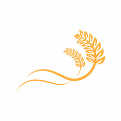 Agriculture wheat vector icon design