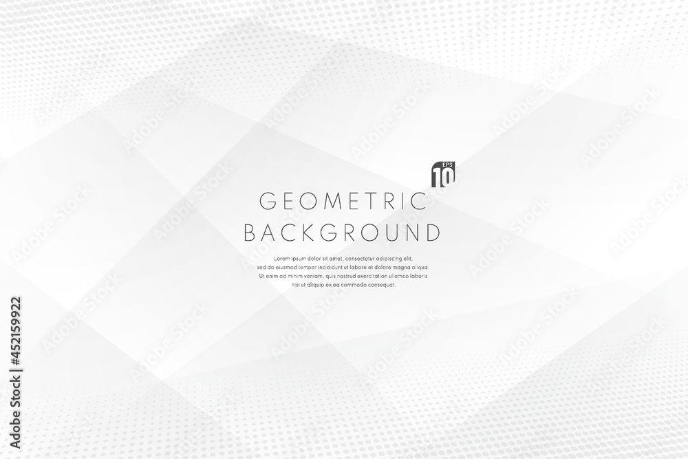 Canvas Prints abstract luxury geometric white and grey overlap layers background with copy space. elegant white tr