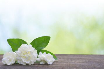 Closeup shot of Arabian jasmines on a wooden surface