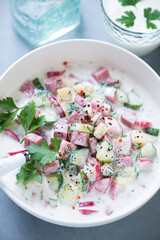 Close-up of russian traditional cold soup okroshka with beef meat, potato, vegetables and kefir, vertical shot, elevated view