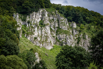 A picturesque limestone rock formation, surrounded with trees. 
Ojcow, Polish Jura, Poland.
