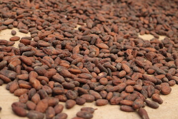 CACAO