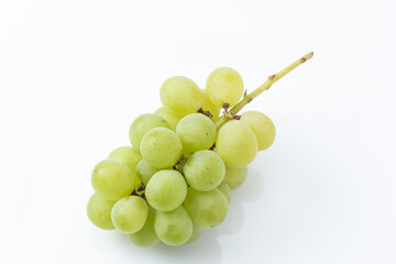 葡萄
