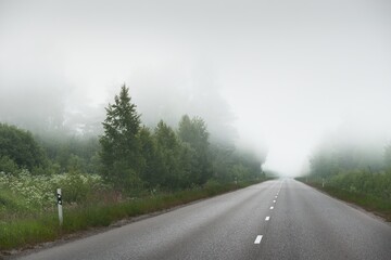 An empty highway (asphalt road) through the fields and forest in a thick fog at sunrise. Atmospheric landscape. Idyllic summer rural scene. Fickle weather, dangerous driving, road trip