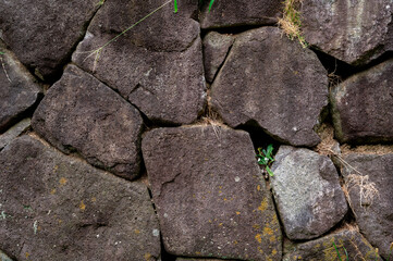 大仙公園-石積み-