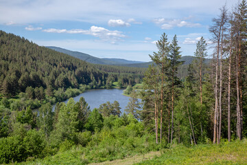 Green deciduous trees and pines on the slope by the river against the backdrop of the river and mountains.