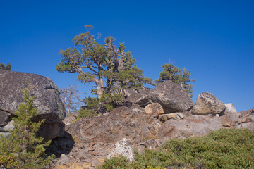 Loon Lake, Sierra Nevada, California