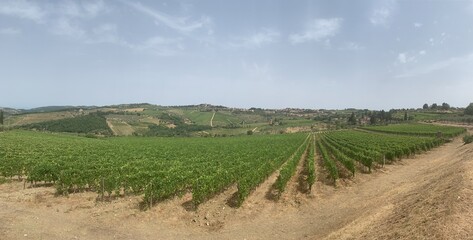 Fototapeta na wymiar Tuscan Chianti region wine yards. Landscape of Italian nature. Green hills. Siena province, Tuscany, Italy.