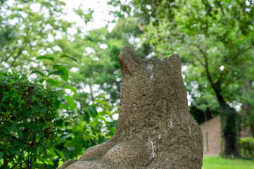 大仙公園-たぬきこうじ-