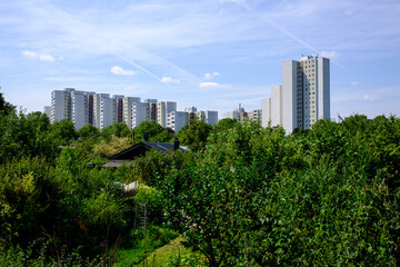 Social housing in berlin with allotment gardens in the foreground.