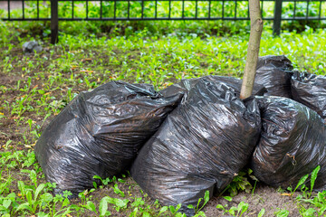 Fototapeta na wymiar Black plastic bags filled with fallen leaves on a lawn