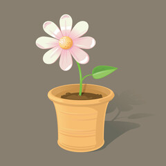 A cute, pastel potted flower in a terracotta plant pot