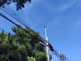 散歩の途中で見上げた良い天気の空
