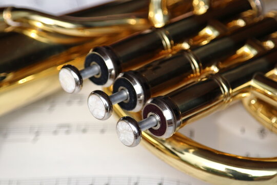 Close up of valves of a brass horn