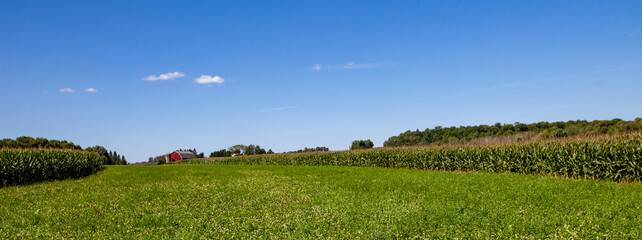 Wausau, Wisconsin farm with crops in August