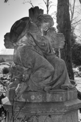 Detailaufnahme Friedhof