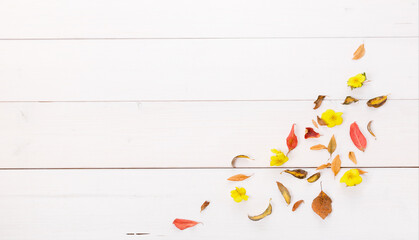 Autumn composition made of autumn dry multi-colored leaves on white wooden background. Autumn, fall concept. Flat lay, top view