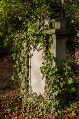 Detailaufnahme Friedhof