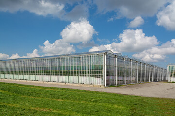 Agriculture in Netherlands, big glass greenhouses used for growing organic vegetables and fruits, Zeeland