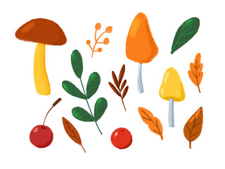 Autumn leaves and mushrooms clip art collection. Hand drawn in cartoon style fall illustrations isolated on white background. Fall nature clipart set.