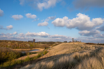 Fototapeta premium Dunes and view on Vlissingen city with sandy beach on sunset