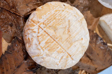 Taste of Provence, ancient small goat cheese Banon a la feuille wrapped in chestnut leaves and tied with raffia.