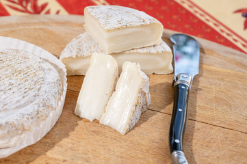 Taste of Provence, small round cheese Tome de Provence made from goat milk in Banon,...
