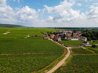 Aerian view on green grand cru and premier cru vineyards with rows of pinot noir grapes plants in Cote de nuits, making of famous red Burgundy wine in Burgundy region of eastern France.