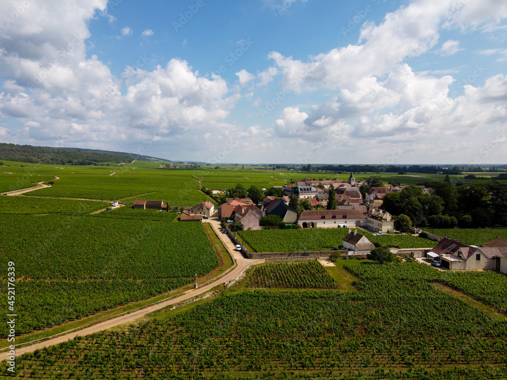 Wall mural Aerian view on green grand cru and premier cru vineyards with rows of pinot noir grapes plants in Cote de nuits, making of famous red Burgundy wine in Burgundy region of eastern France.