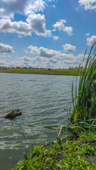 Obraz premium Landscape with a lake and clouds in the sky in the summer season