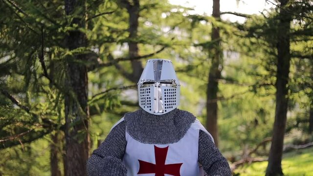 Knight Templar walking between the trees